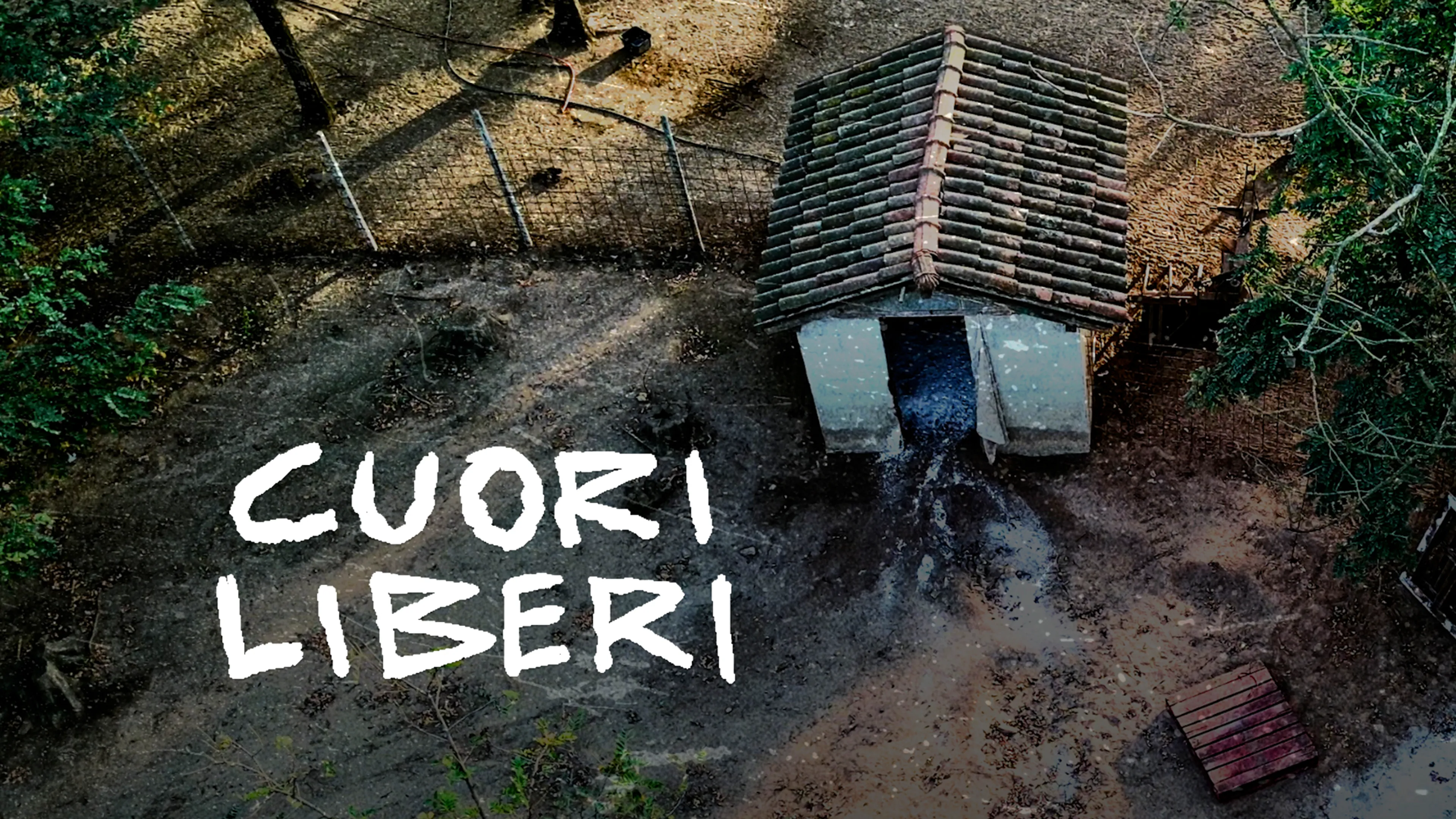 Cuori Liberi poster